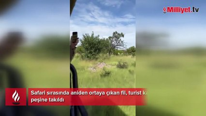 Kanlı saldırı kamerada! Aniden belirdi, sivri dişleriyle durmak bilmedi!