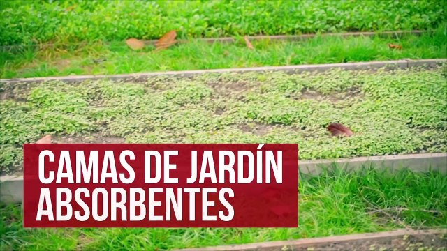 Formas creativas de reutilizar contenedores IBC