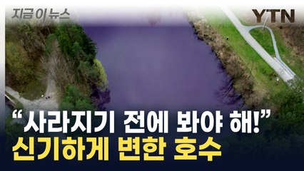"사라지기 전에 봐야 해!"...신기하게 변한 호수 [지금이뉴스]  / YTN
