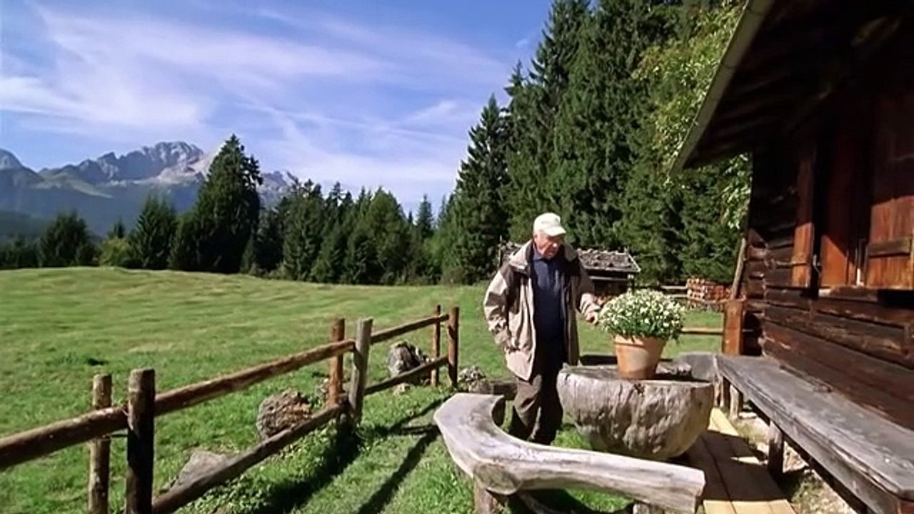 Pfarrer Braun E20-Altes Geld, junges Blut