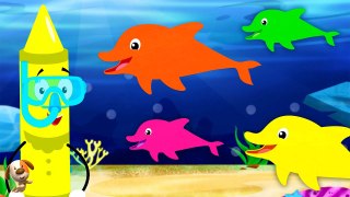 Under the Sea Song - We Are The Dolphins + More Kids Music & Rhymes