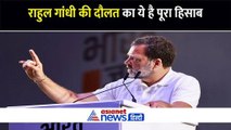 शेयर-जमीन और सोना, जानिए राहुल गांधी की दौलत की का पूरा हिसाब, बताया कहां करते हैं निवेश