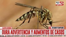 Alerta dengue: afirman que podría haber cuadros más severos y reinfecciones