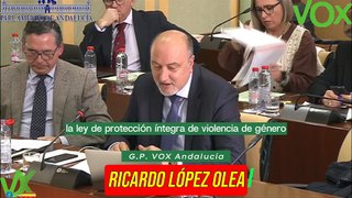 Ricardo López. Posicionamiento en PNL sobre comarcalizacion de Juzgados VIOGEN. 03.04.2024