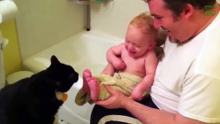 Funny Babies Laughing Hysterically at Cats Compilation