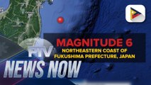 Magnitude 6.0 quake shakes northeast Japan, no tsunami alert