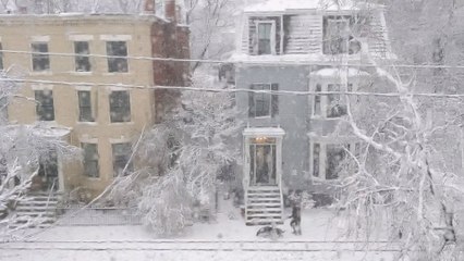 les amis de la neige 2