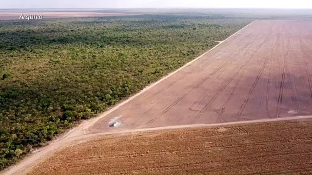 Apesar dos avanços no Brasil, desmatamento se mantém 'obstinadamente' alto no mundo