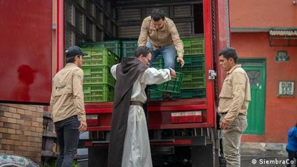 Cómo crear tu propio cultivo digital