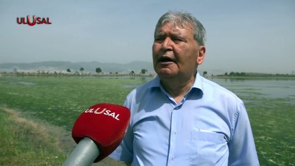 İzmir'de bu yaz kurak geçecek! Tahtalı Barajının doluluğu kritik seviyede