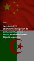 Le chinois BYD abandonne son projet de batteries lithium au Maroc, sa réalisation en Algérie se précise