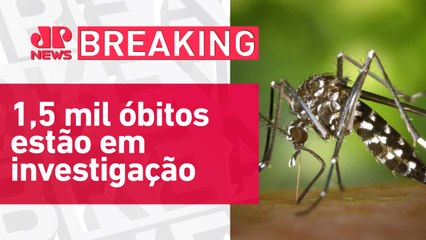 Brasil supera mil mortes por dengue em 2024 | BREAKING NEWS