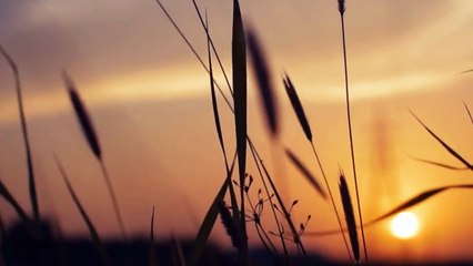 Prestige Clairemont: Your Gateway to Elevated Living in Hyderabad