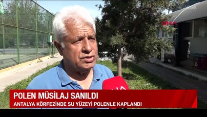 Denizin yüzeyini kapladı! Müsilaj sanıldı ama çıkan sonuç rahatlattı