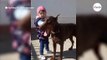 Kleines Mädchen umarmt riesigen Dobermann: Alle schauen fassungslos zu, wie der Hund reagiert (Video)
