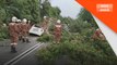 Lelaki maut kereta dihempap pokok tumbang di Senawang