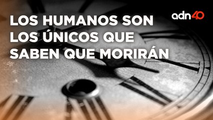 La mente humana, neuronas, envejecimiento y más I A Ras de Tierra
