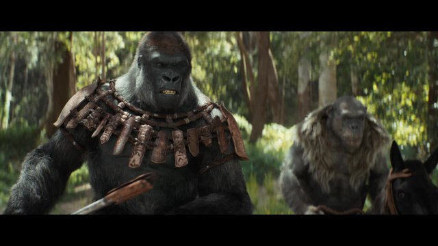 La planète des singes 4 (2024) - trailer IMAX