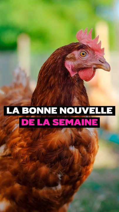La bonne nouvelle de la semaine