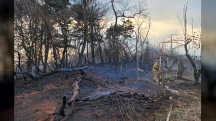 남양주시 야산에서 불...40분 만에 진화 / YTN