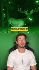Les pires facons dont les animaux ont perdu la vie