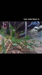 Bahçelerine drone düştüğünü gören tonton çift ve verdikleri şahane tepkiler 