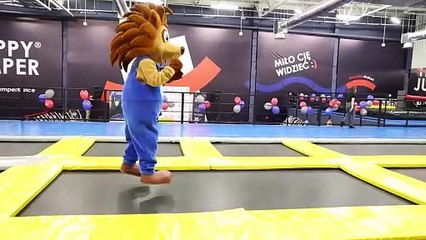 echodnia.eu KIELCE Miss i Mister Stódniówki 2024