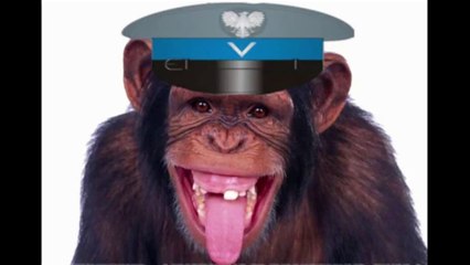 Kandydat Marek Rudnik zaprasza do poleczki