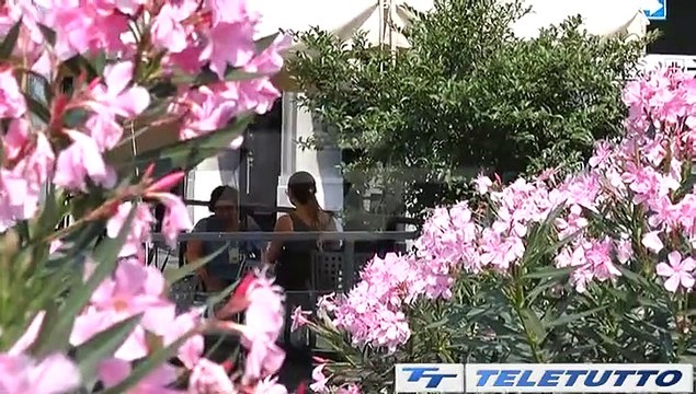 Video News - In arrivo un'ondata di caldo anomalo