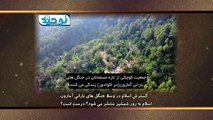 گسترش اسلام در وسط جنگل های بارانی آمازون
