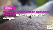 En Brasil intensifican acciones frente a brotes masivos de dengue