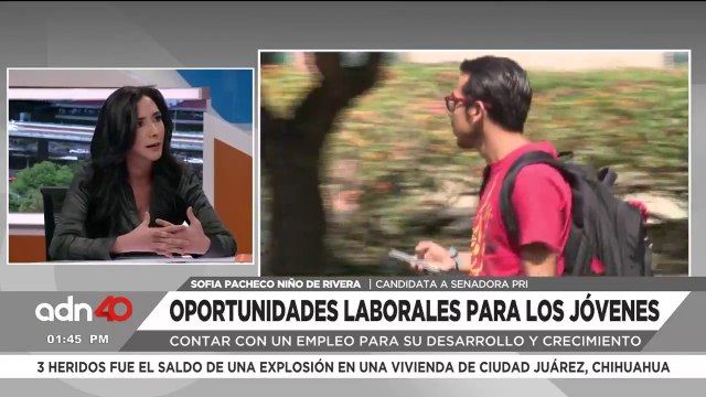 ¿Cómo se pueden mejorar las oportunidades laborales para los jóvenes?| Diálogos Vota México