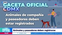 Así puedes registrar a los animales de compañía en la Agencia de Atención Animal