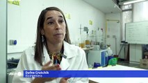 En Chile, la orina humana es una alternativa para crear fertilizantes