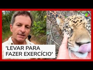 Biólogo viraliza ao postar vídeo passeando com onça em Goiás