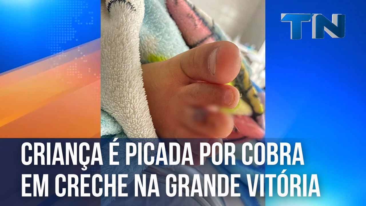 Criança é picada por cobra em creche na Grande Vitória