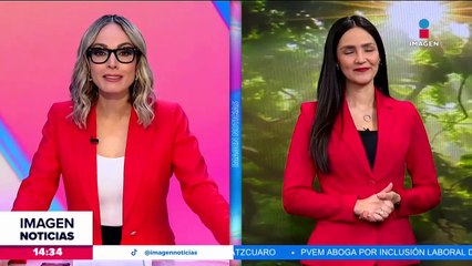 ¿Cómo afectan los eclipses a los animales?