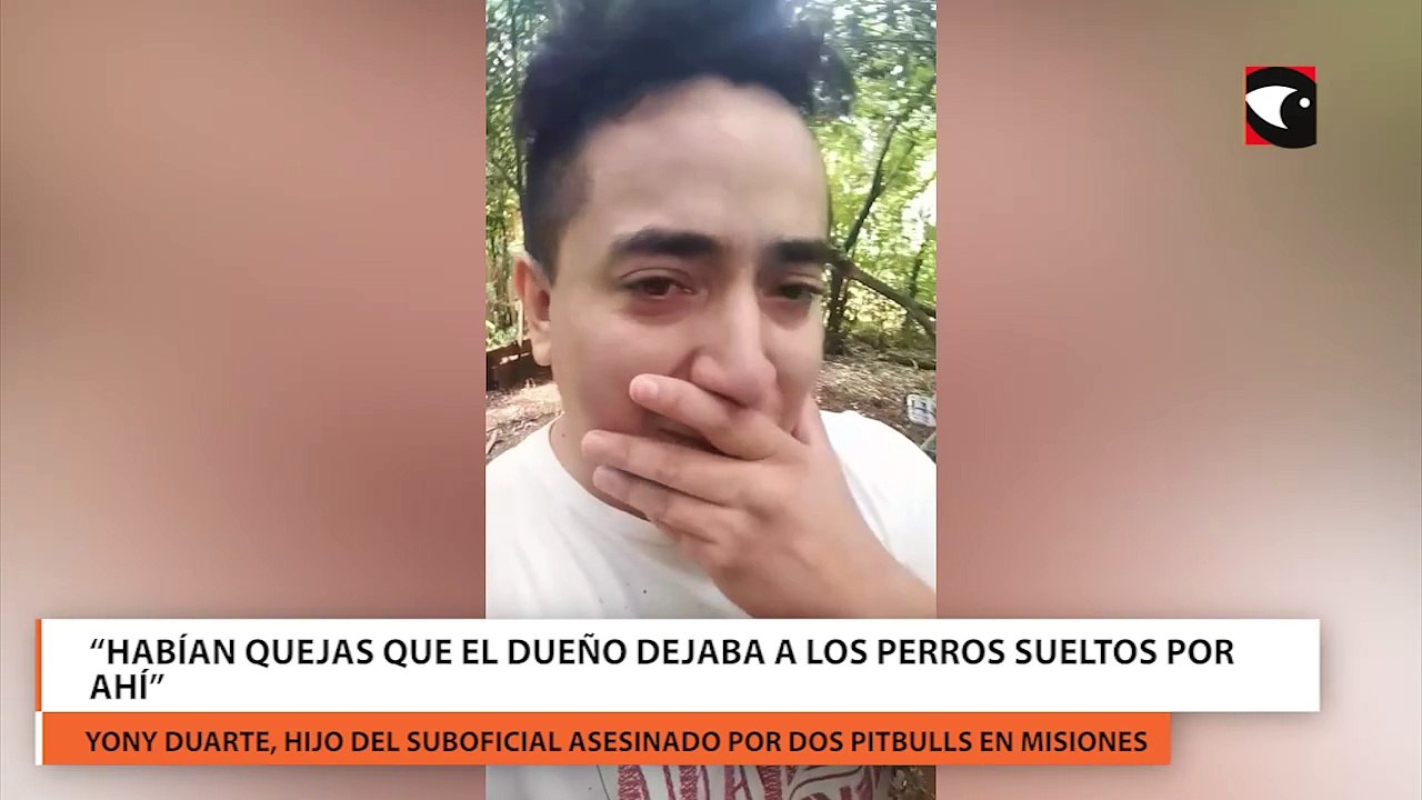 “Habían quejas que el dueño dejaba a los perros sueltos por ahí”