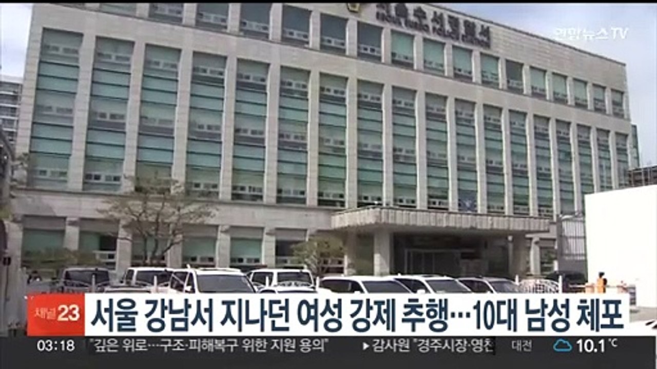 서울 강남서 지나던 여성 강제 추행…10대 남성 체포