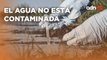 SACMEX confirmó que el agua en la alcaldía Benito Juárez no esta contaminada