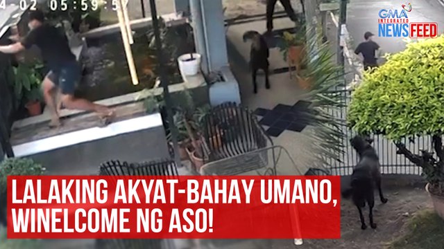 Lalaking akyat-bahay umano, winelcome ng aso! | GMA Integrated Newsfeed