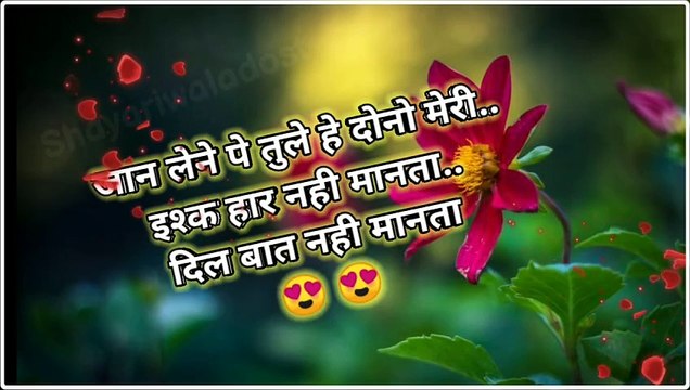 मोहब्बत Shayari | Shayari वाला Dost | #shayari #trending #viralvideo #shayaristatus