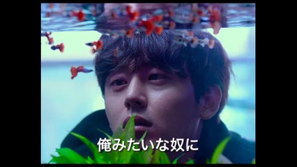 映画『アンダー・ユア・ベッド』