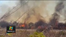 tn7-Incendio-forestal-consumió-150-hectáreas-en-Talamanca-040424