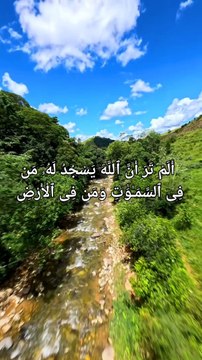Surah Hajj Verse 18 أَلَمْ تَرَ أَنَّ ٱللَّهَ يَسْجُدُ لَهُۥ مَن فِى ٱلسَّمَـٰوَٰتِ وَمَن فِى ٱلْأَرْضِ وَٱلشَّمْسُ وَٱلْقَمَرُ وَٱلنُّجُومُ وَٱلْجِبَالُ وَٱلشَّجَرُ وَٱلدَّوَآبُّ وَكَثِيرٌۭ مِّنَ ٱلنَّاسِ ۖ وَكَثِيرٌ حَقَّ عَلَيْهِ ٱلْعَذَابُ ۗ وَمَن ي