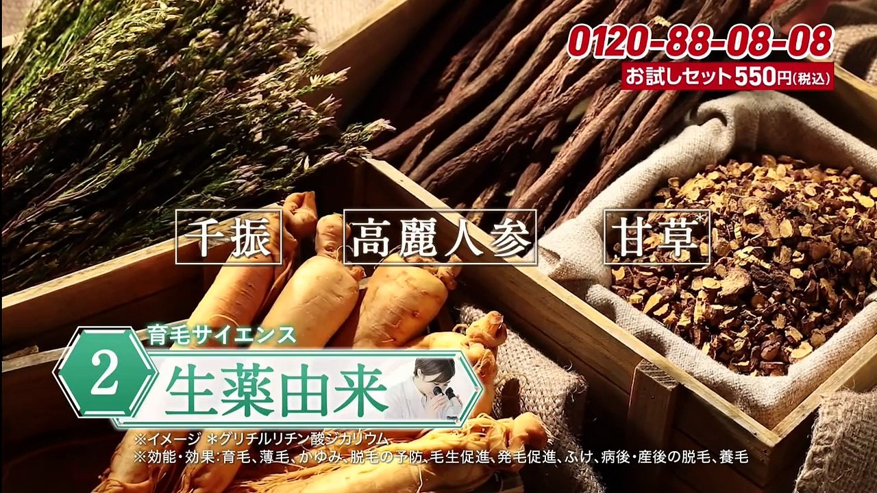 バラエティ　無料 - 無料 バラエ Varietydouga.com - じゅん散歩 動画　2024年4月5日