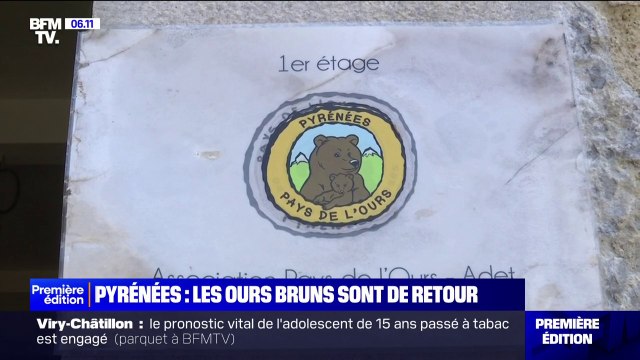 Pyrénées: le nombre d'ours bruns en hausse en 2023, la plus forte augmentation depuis les années 1990