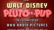 Pluto's Quin-Puplets (1939) with original recreated titles