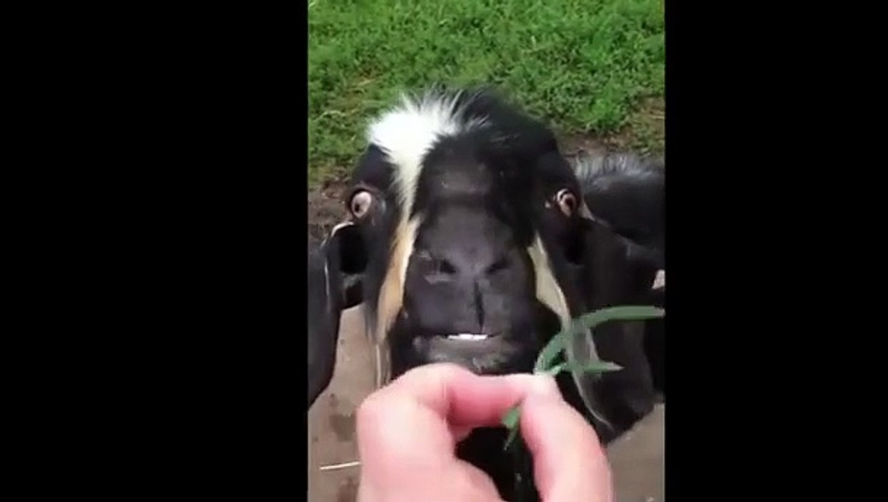 Why are you running