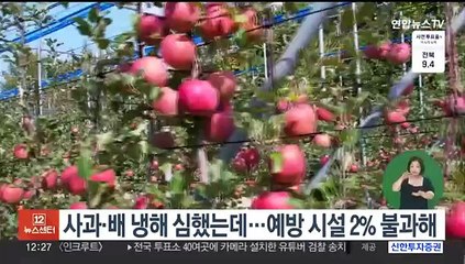 사과·배 냉해 심했는데…예방 시설 2% 불과해